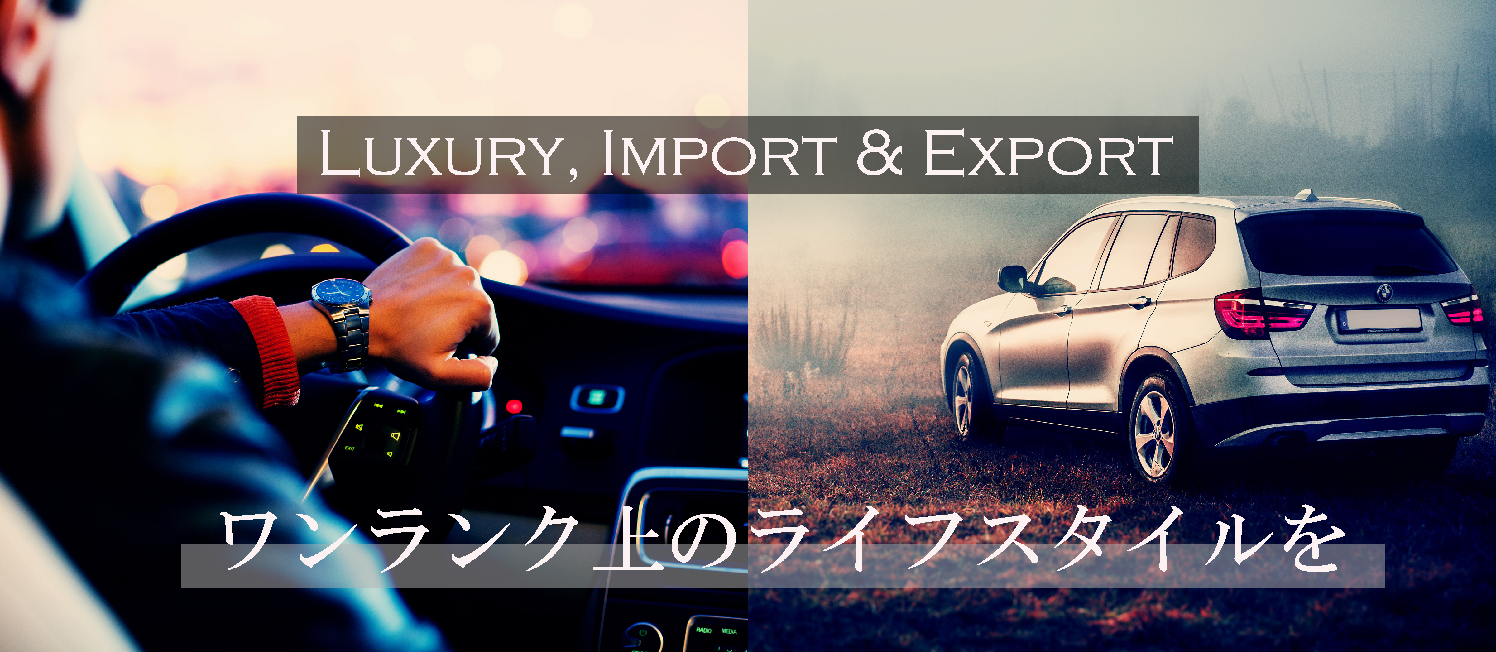 Luxury,import&export